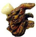 Shitake Mushroom